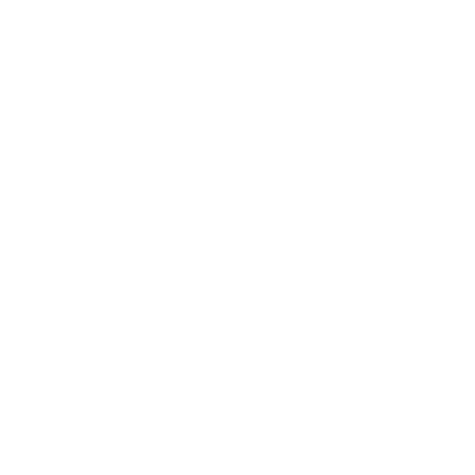 icono-cancha-de-practicas-2